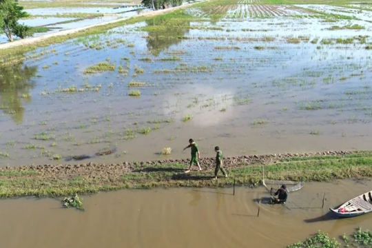 Triều cường kết hợp lũ lớn gây ngập diện rộng ở Đồng Tháp