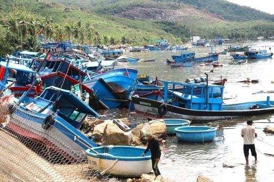 Bão Kalmaegi gây thiệt hại gần 7.200 tỷ đồng, 8 người chết và mất tích
