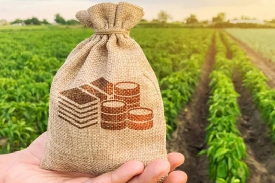 Miễn thuế sử dụng đất nông nghiệp phục vụ nghiên cứu đến năm 2030