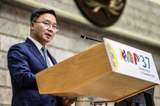 Việt Nam nêu ba ưu tiên thúc đẩy bảo vệ tầng ozone tại MOP 37