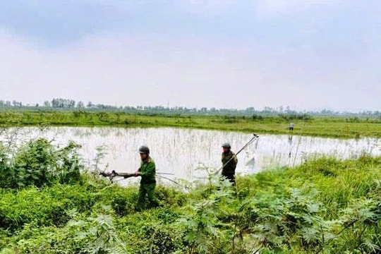 Nghệ An thành lập Ban Chỉ đạo tuyên truyền, đấu tranh, xử lý vi phạm về động vật hoang dã