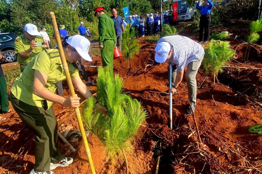 Hành trình xanh hóa Lâm Đồng: Từ mục tiêu 71 triệu đến hơn 80 triệu cây xanh