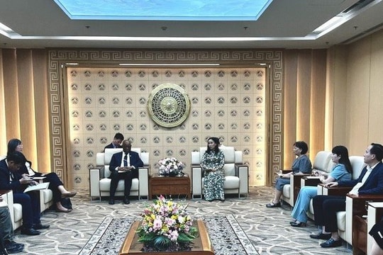 WWF hỗ trợ Đà Nẵng khắc phục thiệt hại do bão, mở rộng hợp tác bảo tồn thiên nhiên