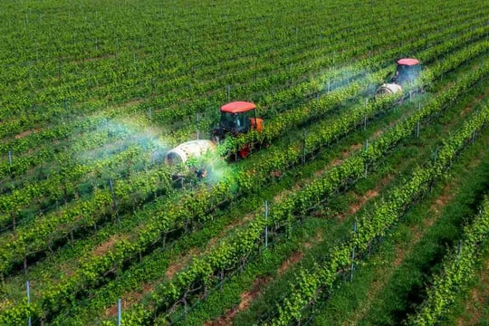 Ngành nông nghiệp triển khai kế hoạch giảm phát thải trong trồng trọt đến năm 2050