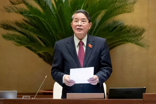 Luật Hàng không dân dụng Việt Nam (sửa đổi): Dành riêng một điều quy định về bảo vệ môi trường