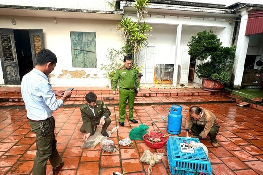 Liên tiếp triệt phá nhiều vụ bẫy chim, hủy diệt nguồn thủy sản tại nhiều địa phương