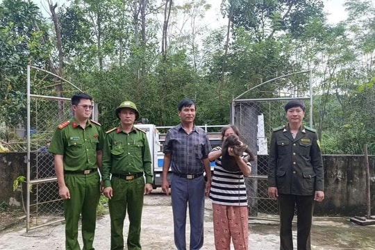 Hai cá thể khỉ quý hiếm lạc vào vườn nhà dân ở Nghệ An, được bàn giao cho cơ quan chức năng