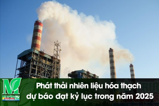 [VIDEO] Phát thải nhiên liệu hóa thạch dự báo đạt kỷ lục trong năm 2025