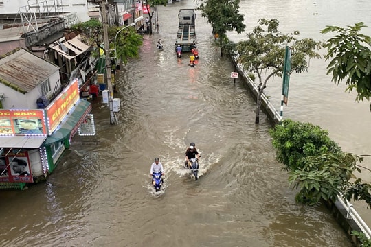 Triều cường và lún đất tại TP.HCM vượt kỷ lục: Nguy cơ ngập cục bộ tăng