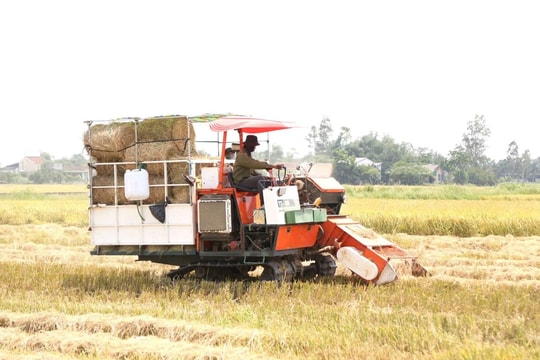 Nghệ An tăng cường đảm bảo an ninh lương thực gắn với bảo vệ môi trường