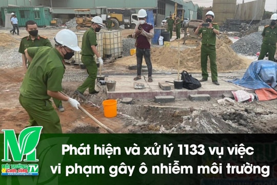 [VIDEO] Phát hiện và xử lý 1133 vụ việc vi phạm gây ô nhiễm môi trường