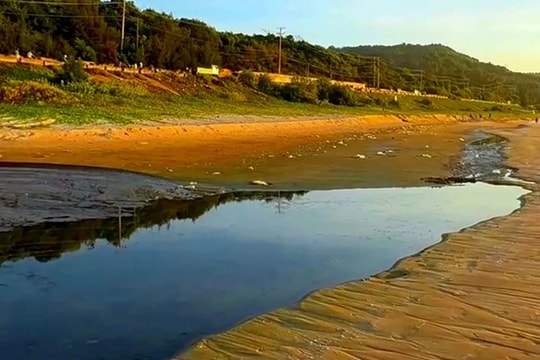 Xả nước thải đen ra biển Mũi Né, Khu du lịch Asteria bị xử phạt 50 triệu đồng