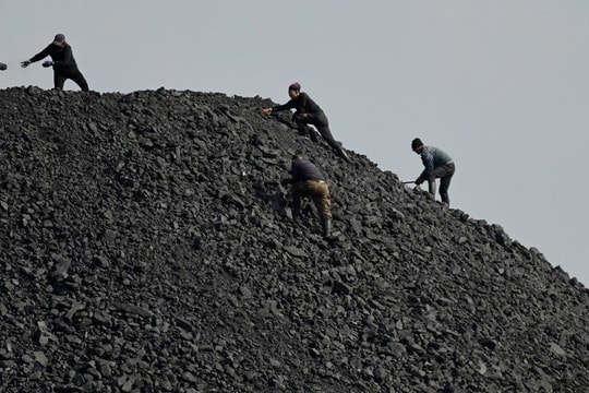 COP30: Hơn 80 nước ủng hộ xây dựng lộ trình ngừng sử dụng nhiên liệu hóa thạch