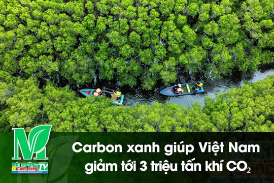 [VIDEO] Carbon xanh giúp Việt Nam giảm tới 3 triệu tấn khí CO₂