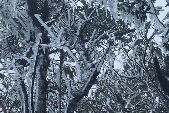 Băng giá xuất hiện sớm trên các đỉnh núi miền Bắc, nhiệt độ xuống dưới 0°C
