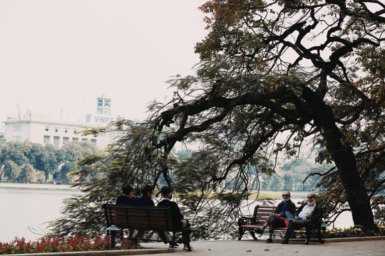 Dự báo thời tiết Hà Nội ngày 21/11/2025: Ít mây, đêm không mưa, ngày nắng