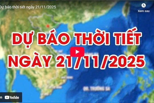 Dự báo thời tiết ngày 21/11/2025: Đêm và sáng trời rét, có nơi rét đậm, rét hại