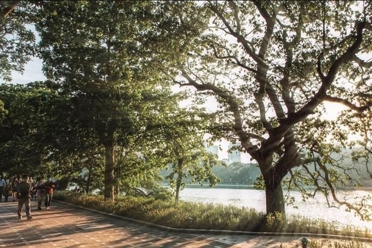 Dự báo thời tiết Hà Nội ngày 22/11/2025: Có mây, đêm không mưa, ngày nắng