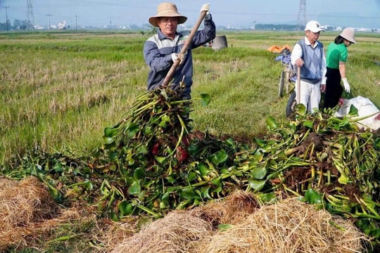 Nghệ An: Tập huấn ủ phân hữu cơ cho nông dân xã Quan Thành