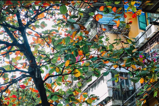 Dự báo thời tiết Hà Nội ngày 24/11/2025: Có mây, đêm không mưa, ngày nắng