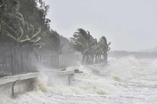 Đề nghị các tỉnh thành từ Quảng Trị đến An Giang ứng phó với áp thấp nhiệt đới