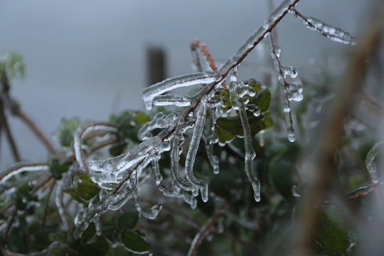 Miền Bắc chuyển rét sâu, nhiều nơi dưới 10°C do không khí lạnh tăng cường