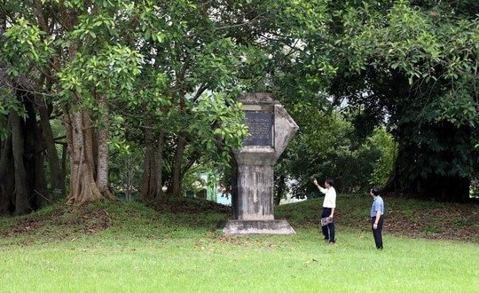 Phát huy giá trị đa dạng sinh học của Khu di tích quốc gia đặc biệt Tân Trào