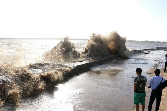 Cà Mau phê duyệt dự án kè chống sạt lở bảo vệ đê biển