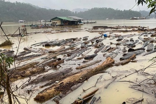 Huế: Gần 90 tấn gỗ, củi mục trôi về các hồ chứa sau lũ