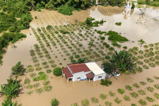 Lâm Đồng hỗ trợ tối đa 120 triệu đồng cho hộ dân có nhà bị thiệt hại nặng do mưa lũ