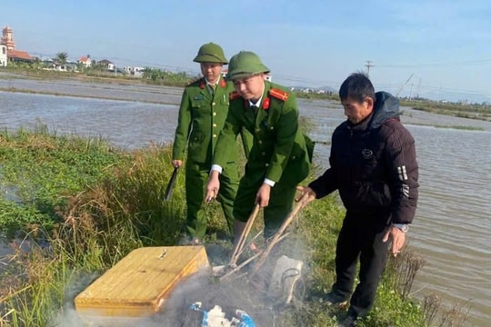 63 đợt tuần tra trong tháng 11: Nghệ An mạnh tay với vi phạm về động vật hoang dã
