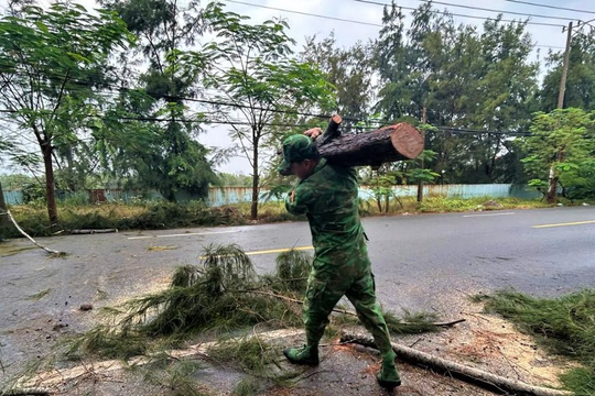 Đồn Biên phòng Phước Hải kịp thời dọn dẹp cây ngã đổ, đảm bảo an toàn giao thông