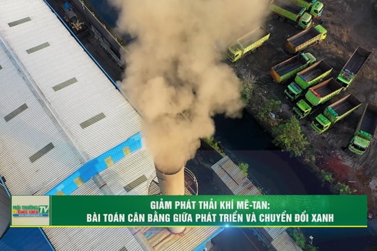 [VIDEO] Giảm phát thải khí mê-tan: Bài toán cân bằng giữa phát triển và chuyển đổi xanh