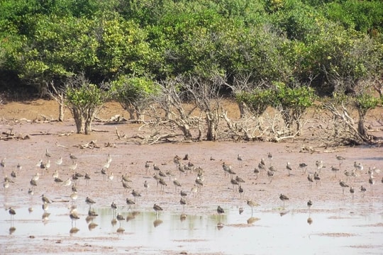 Việt Nam có 15/69 Vườn Di sản ASEAN