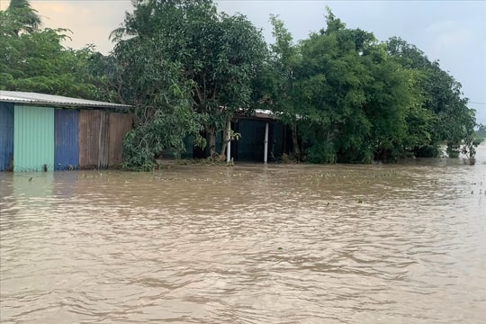 ADB hỗ trợ 2 triệu USD giúp Việt Nam khắc phục hậu quả mưa lũ