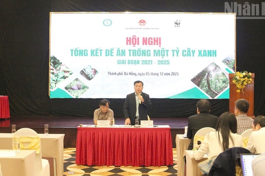 Hơn 1,4 tỷ cây đã được trồng trong Đề án trồng 1 tỷ cây xanh