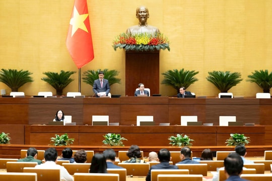 Ngày 5/12, Quốc hội biểu quyết thông qua 3 dự án luật liên quan đến lĩnh vực tư pháp