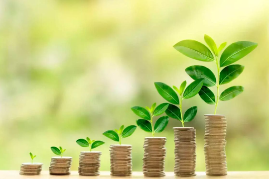 Indonesia đối diện khoảng trống tài chính khổng lồ khi thực hiện mục tiêu khí hậu