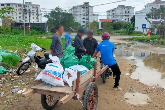 Đà Nẵng xử phạt gần 2,5 tỉ đồng các vi phạm về môi trường