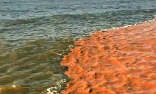 Hiện tượng “nước lạ” chia đôi mặt biển Tây Cà Mau gây xôn xao dư luận