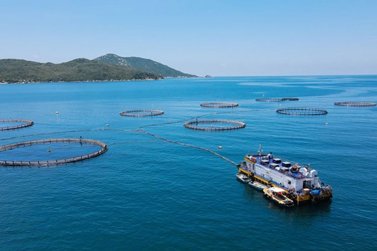 Nghệ An ban hành khung giá sử dụng khu vực biển giai đoạn 2026 - 2030