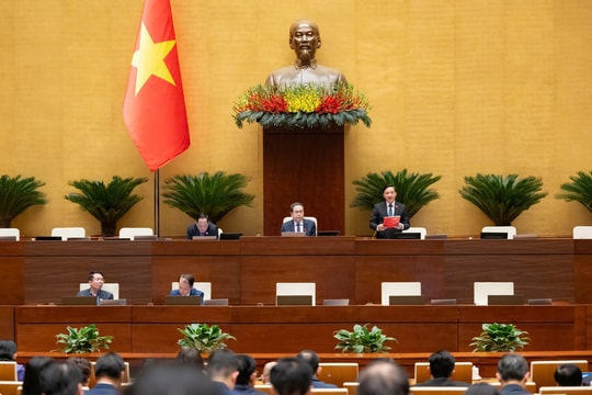 Thống nhất bổ nhiệm Thẩm phán là người nước ngoài tại Tòa án chuyên biệt