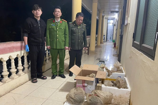 Cứu hộ khẩn cấp 12 cá thể tê tê Java từ vụ vận chuyển trái phép tại Cao Bằng