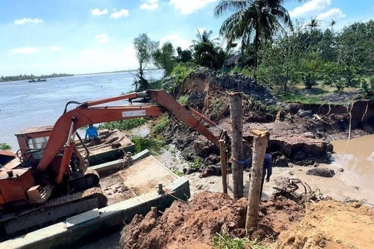 Vĩnh Long khẩn trương khắc phục sạt lở đê bao cồn Thanh Long