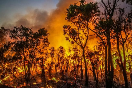 Cháy rừng dữ dội tại Australia gây thiệt hại nặng nề