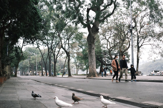 Dự báo thời tiết Hà Nội ngày 10/12/2025: Đêm và sáng trời rét