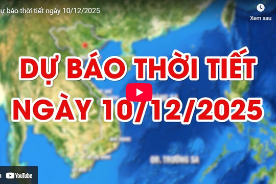 Dự báo thời tiết ngày 10/12/2025: Một số nơi có mưa