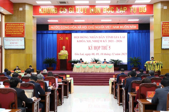 Đại biểu Gia Lai chất vấn về đợt lũ lịch sử gây thiệt hại lớn