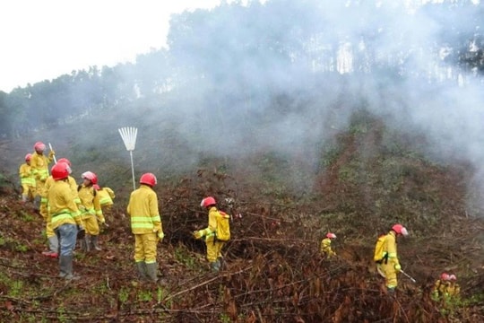 Thái Nguyên chủ động phòng, chống cháy rừng trong mùa khô