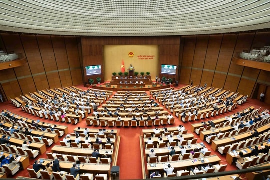 Hôm nay, Quốc hội biểu quyết về việc thực hiện chính sách, pháp luật về bảo vệ môi trường